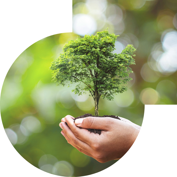 关怀人类、文化、环境与社会